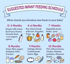 Infant Feeding Schedule Baby Food Baby Feeding Schedule