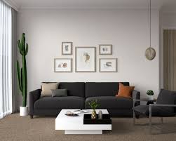couch colors for brown carpet floors