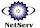 Netserv Applications, Inc.