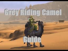 It's good when the dog knows how to drive a car and can pick you up from the. Grey Riding Camel Guide Patch 8 0 1 Up To Date For Shadowlands Youtube