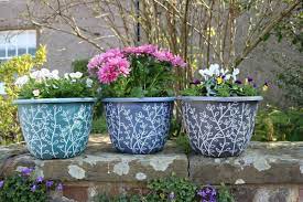 flower outdoor pot garden plant pots