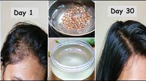 aloevera flaxseed gel for hair growth