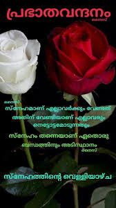 194 best malayalam quotes images in 2020 malayalam quotes. Malayalam Romantic Good Morning Wallpapers On Wallpaperdog