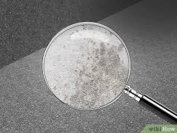 3 ways to detect mold in carpet wikihow