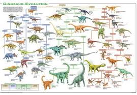 Dinosaur Evolution Poster Tracing The Dinosaur Family Tree
