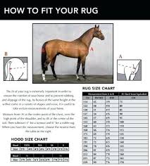 Measuring A Horse For A Blanket Experifaith Org