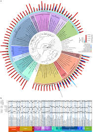 Comparative Genomics Of The Major Parasitic Worms Nature
