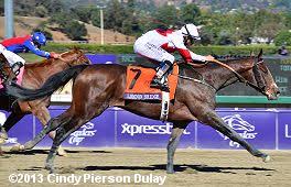 2013 Breeders Cup World Championships Results