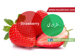 fruit names in urdu and english with