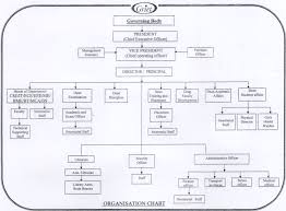 Organisation Structure Of Infosys Research Paper Sample
