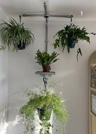 Industrial Decor Wall Hanging Plants