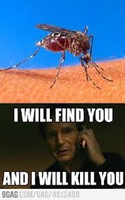 Image result for mosquito memes