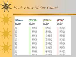 20 Beautiful Peak Flow Meter Chart