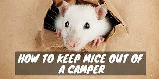 how to keep mice out of a cer rv troop