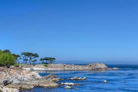 Monterey Bay Tide Pools California Tide Pools