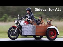 motorcycle sidecar you
