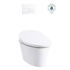 Dual Flush Elongated Wall Hung Toilet