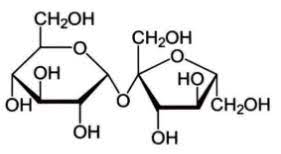 what is the molecular m of cane sugar