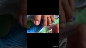 home pedicure vlog43 toenails