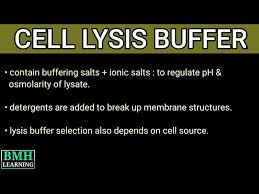 lysis buffer cell lysis buffer
