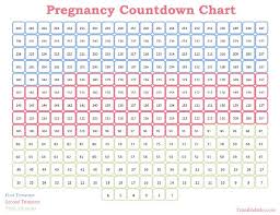 Countdown Pregnancy Calendar Rome Fontanacountryinn Com