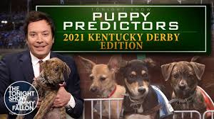 Medina spirit's jockey, john velazquez, rode his fourth kentucky derby winner. 2021 Kentucky Derby Winner Predicted By Jimmy Fallon Puppies