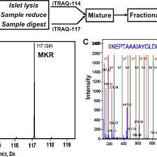 Quantitative Itraq Proteomics Approach A Flow Chart Of
