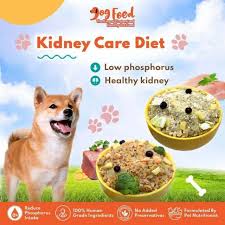 renal support t package dog food