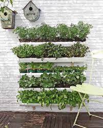 vertical herb garden insteading