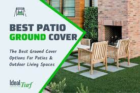 The Best Patio Ground Cover Options You
