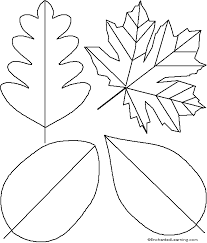 Leaf Template Printout Enchantedlearning Com