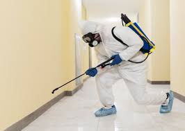 Health Risks Of Mold Exposure The