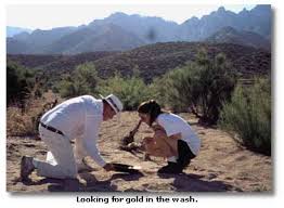 looking for gold in arizona s washes