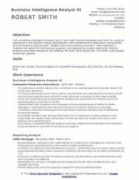 Bi Specialist Sample Resume Podarki Co