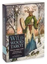 weekly barnes & noble manga mondays. The Wildwood Tarot Wherein Wisdom Resides With Paperback Book By Mark Ryan John Matthews Will Worthington Paperback Barnes Noble