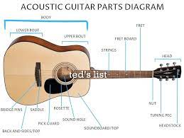 clical vs acoustic guitar ted s list