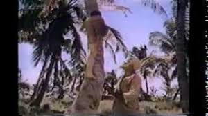 When young phillip is separated form his mother and found by a black man named timothy and his cat stewcat, phillip becomes blind and they all end up on an island. The Cay 1974 Full Complete Tv Movie Hq Youtube