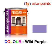 Asian Paints Enamel Paint 1ltr Wild