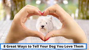 8 great ways to tell your dog you love