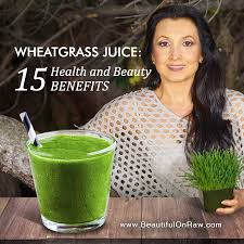 wheatgr juice 15 health and beauty