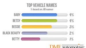 1 in 5 motorists name their car do you