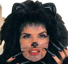 cat whiskers mouse cute costume