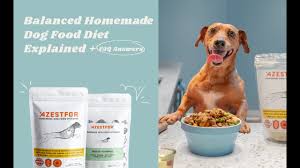 benefits of homemade dog food talk with