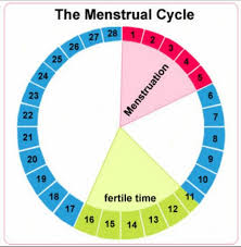 Whattoexpect.com, 5 ways to tell you're ovulating, june 2018. Ovulation Calculator For Baby Boy How It Works