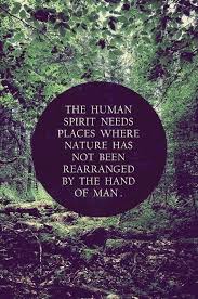 Overview of transcendentalism, exemplary works, etymology & historical context, quotes overview of transcendentalism. Good Vibes Here Daily Inspiring Quote Pictures Best Quotes Nature Quotes Bestquotes