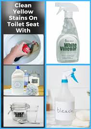 Toilet Seat Cleaning Toilet Stains