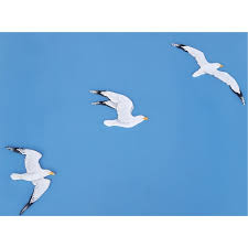 Set Of 3 Flying Birds Seagulls Nautical