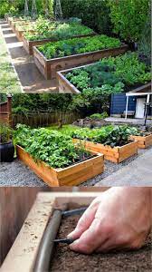 Wooden Box For Growing Vegetables