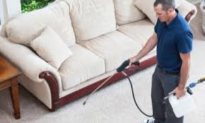 professional carpet cleaning in carlow