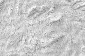 fur rug images browse 81 699 stock